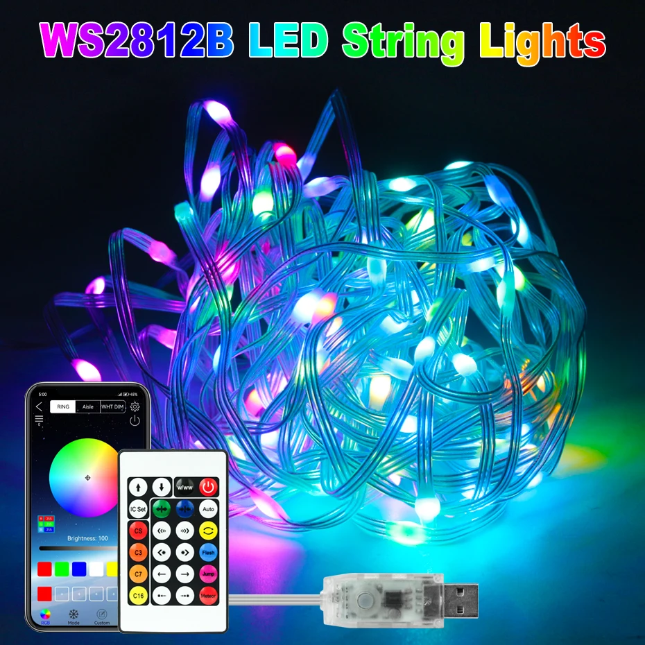 

Waterproof 30M 20M 10M Smart 5V Ws2812b RGBIC Led String Fairy Lights Music Sync Dreamcolor Christmas Party Outdoor Decor Light