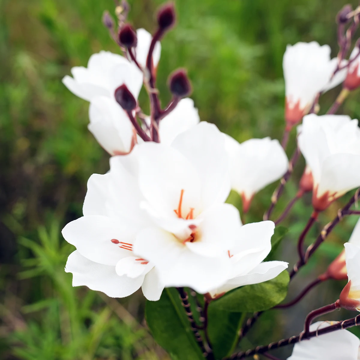 Водонепроницаемая Светодиодная Лампа С Цветком Магнолии На Солнечной Энергии