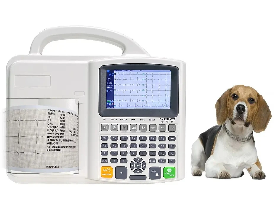 

Новая модель, цифровой электрокардиограф для домашних животных, 3-канальный ветеринарный ЭКГ-аппарат