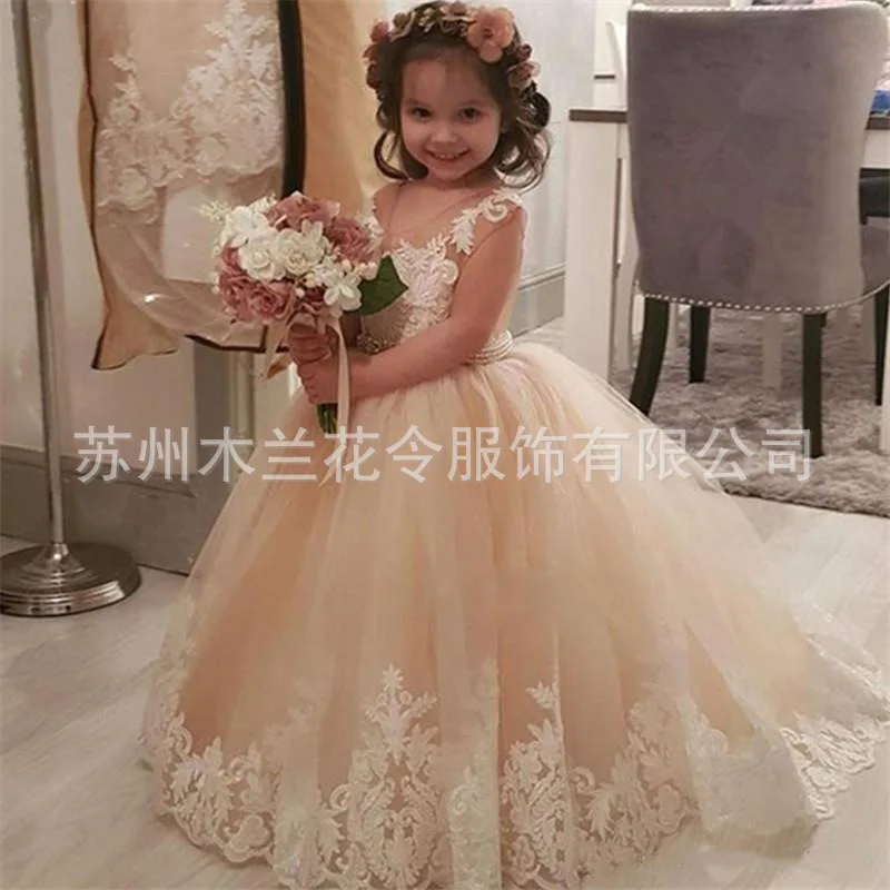 

Princess Backless Lace Ball Gown Flower Girls Dresses Champagne Applique Kids Pageant Gowns Little Girl Birthday Party Dresses