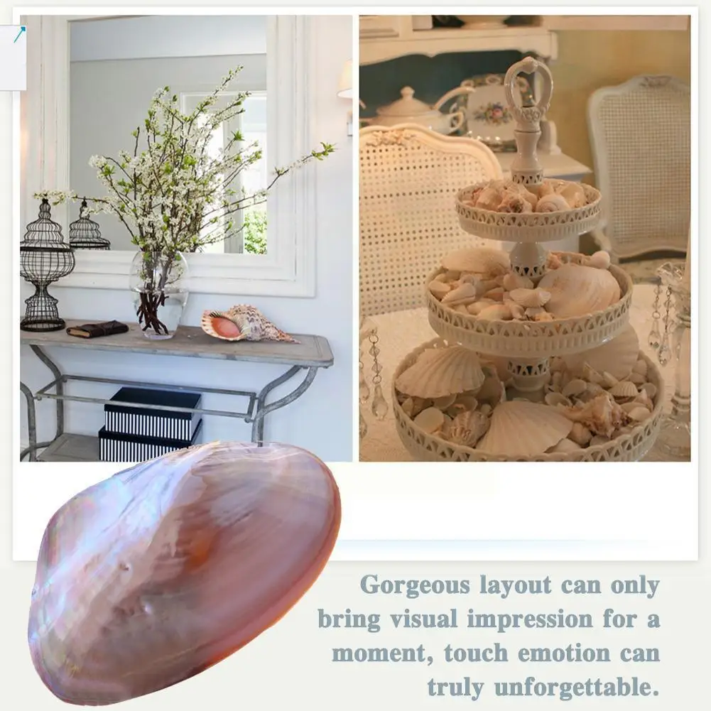 

Natural Pink Clam Shell Freshwater Pearl Shell Pearl Nautical Home Decor Beach Clam Shell For DIY Jewelry Making Crafts Z3N4