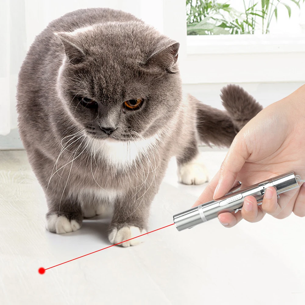 

3-In-1 Mini Red Laser Pointer Pen USB Rechargeable 3 In 1 Red Light + White LED Torch Light + UV Flashlight Cat Dog Pet Toy