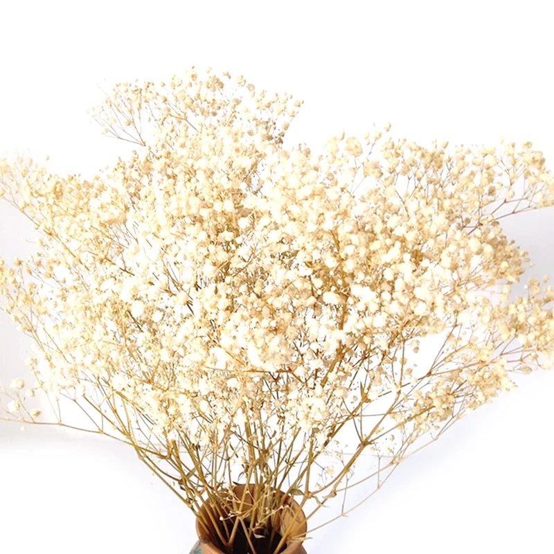 

17 Inch Ivory White Flowers, Natural Gypsophila Branches For Wedding, DIY Home Party Decor, Table Vase Decor