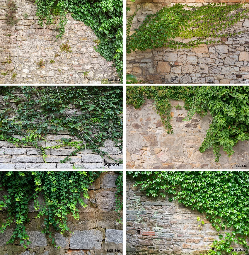 

Rustic Rock Brick Wall Backdrop Green Ivy Wall Backdrop Spring Scenic Greenery Leaves Grass Nature Photography Backdrop Child
