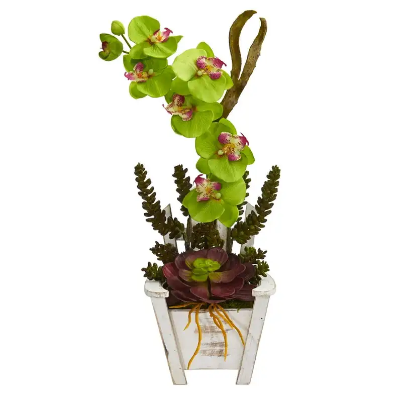 

Orchid & Succulent Artificial Arrangement in Chair Planter