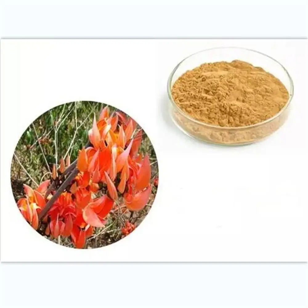 

100g-1kg 100 % Pure Butea Superba Extract Powder (10:1) High quality And Good Quality