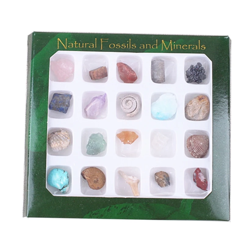 

20Pcs/Set Raw Crystals Random Natural Stones Box Fossiles Minerals Agates Specimen For Education Home Decors