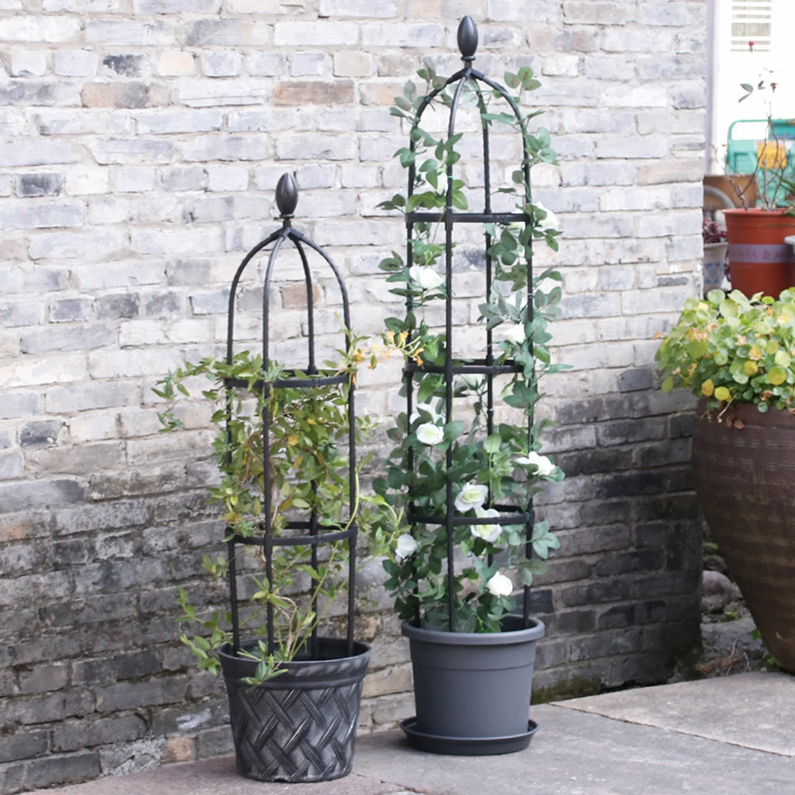 

Garden Obelisk Metal Trellis 3 Sizes PE Coating Steel Flower Support For Climbing Plants 10 Inch Diameter Metal Frame Cage For