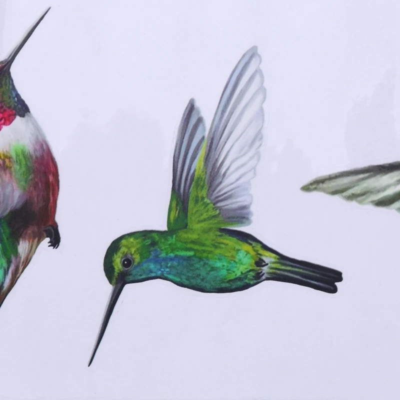 8. большие красивые колибри статические липкие птицы наклейки на окно