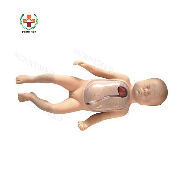 

SY-N035 Series Newborn catheter model intubation manikin