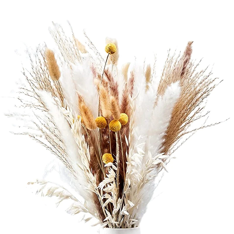 

Pampas Grass Dried Pampas Pampas Flowers Small Pampas Natural Pampas Branches