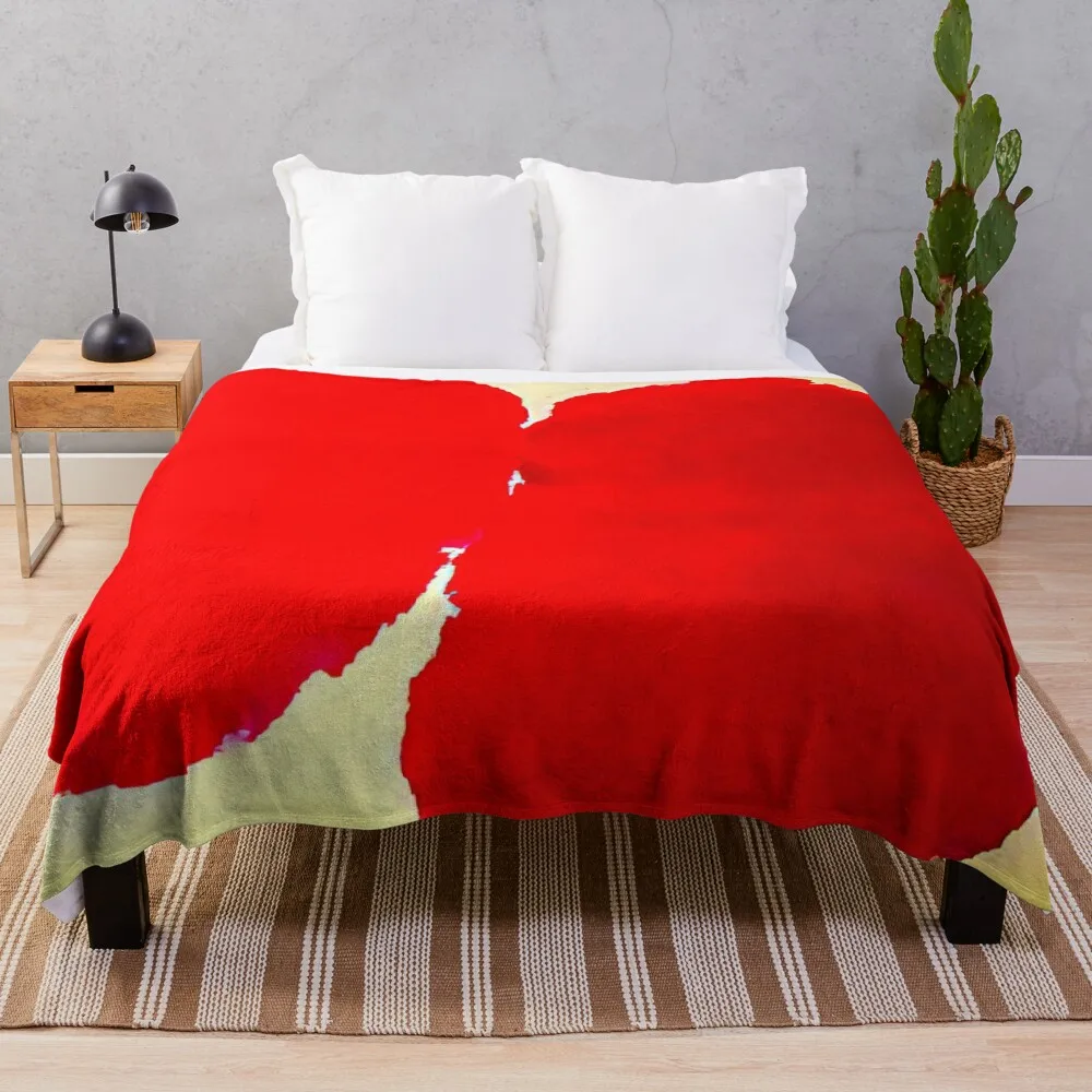 Кейт на ваш день рождения - 1964 от Ray Parker Vibante Edition Плед-одеяло в клетку Мягкие