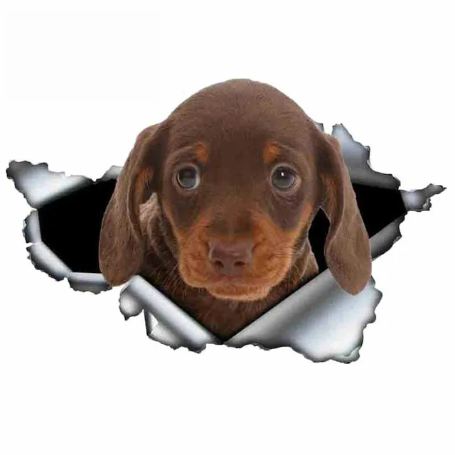 

Dachshund Ripped Pattern car Sticker Model3