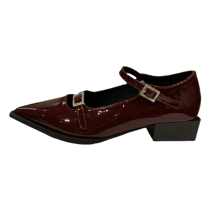 

Savanah Retro Mary Jane Shoes 2023 Spring Pointed Toe Women Single Pumps Women Fashion Rhinestones Thick Low Heel Shoes