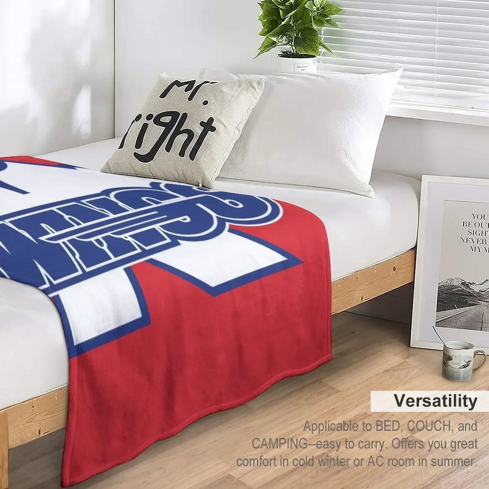 Фото Плед Kalamazoo Wings, рождественские подарки, красивый плед для дивана-кровати, ретро-плюшевые пледы люксового бренда. №5