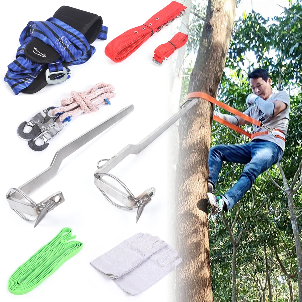 

Forest Crampons Tree crampons Tree care Safety band Glove Protection