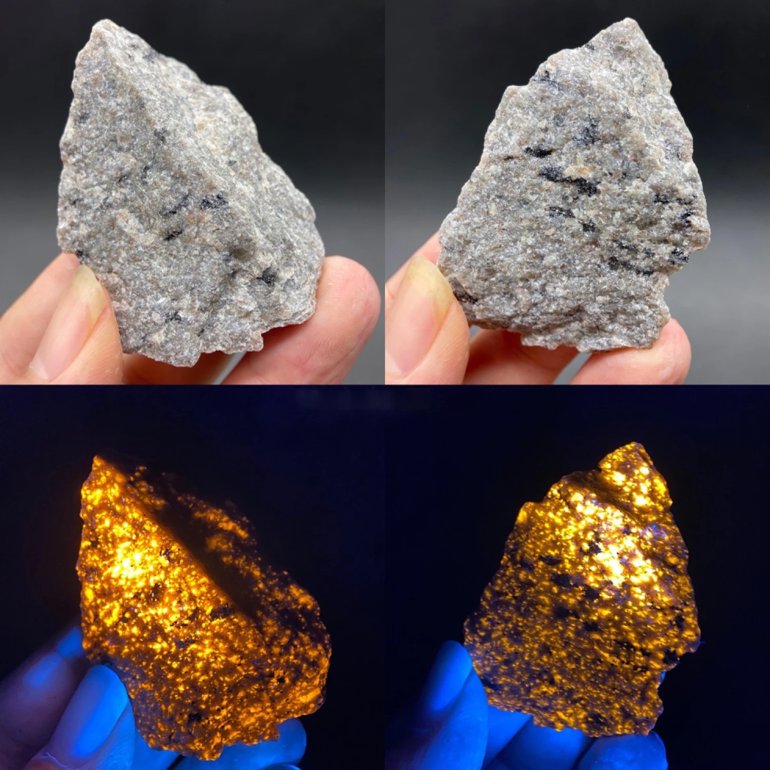 

Natural Flame Fire stone Syenite containing fluorescent sodalite mineral rough crystal Long-wave UV 365NM Collection specimens