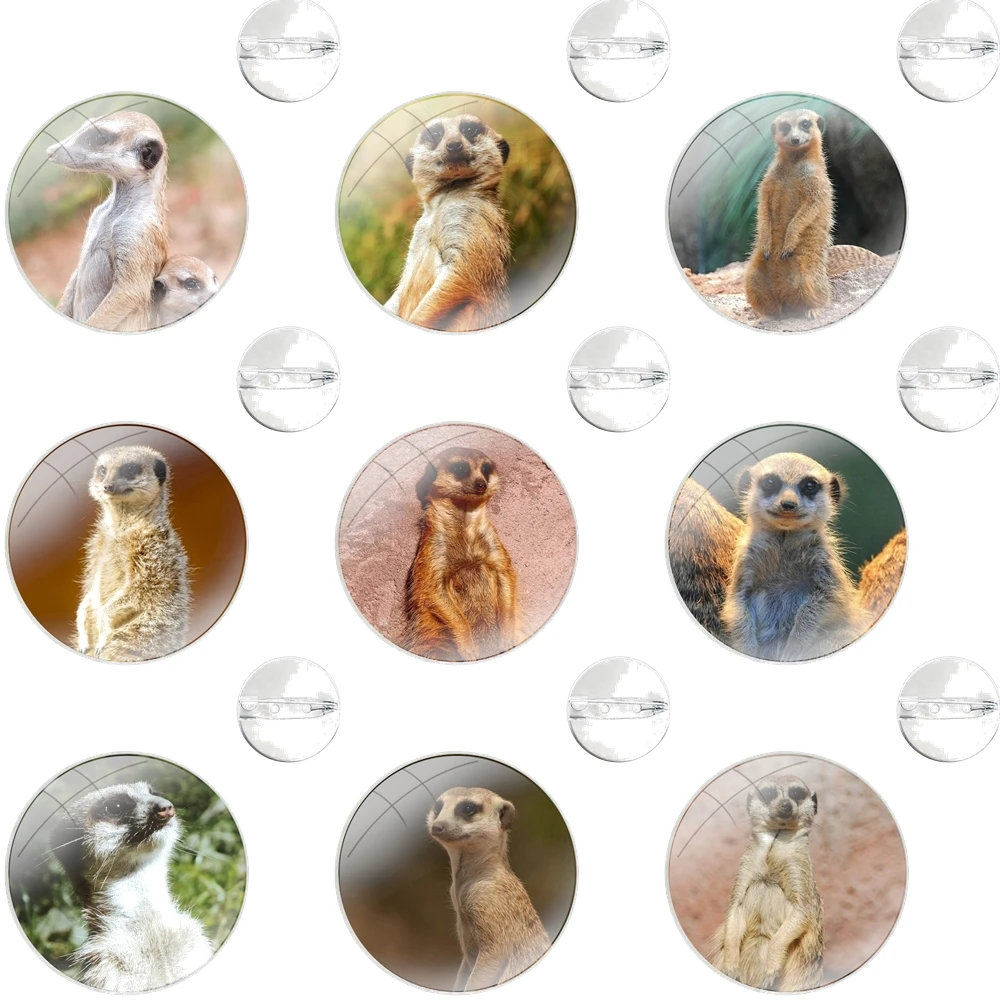 Стеклянные купольные броши для рубашек отворотов сумок шпильки одежды шляпы