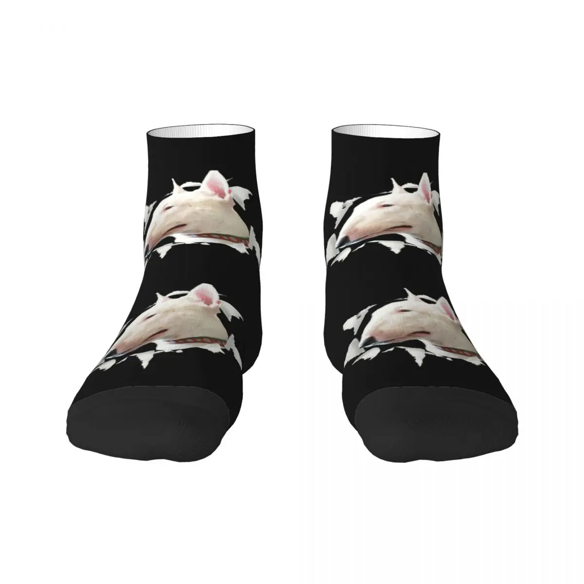 

Классные забавные носки с принтом Бультерьера для мужчин и женщин эластичные Летние Осенние Зимние носки для питомцев