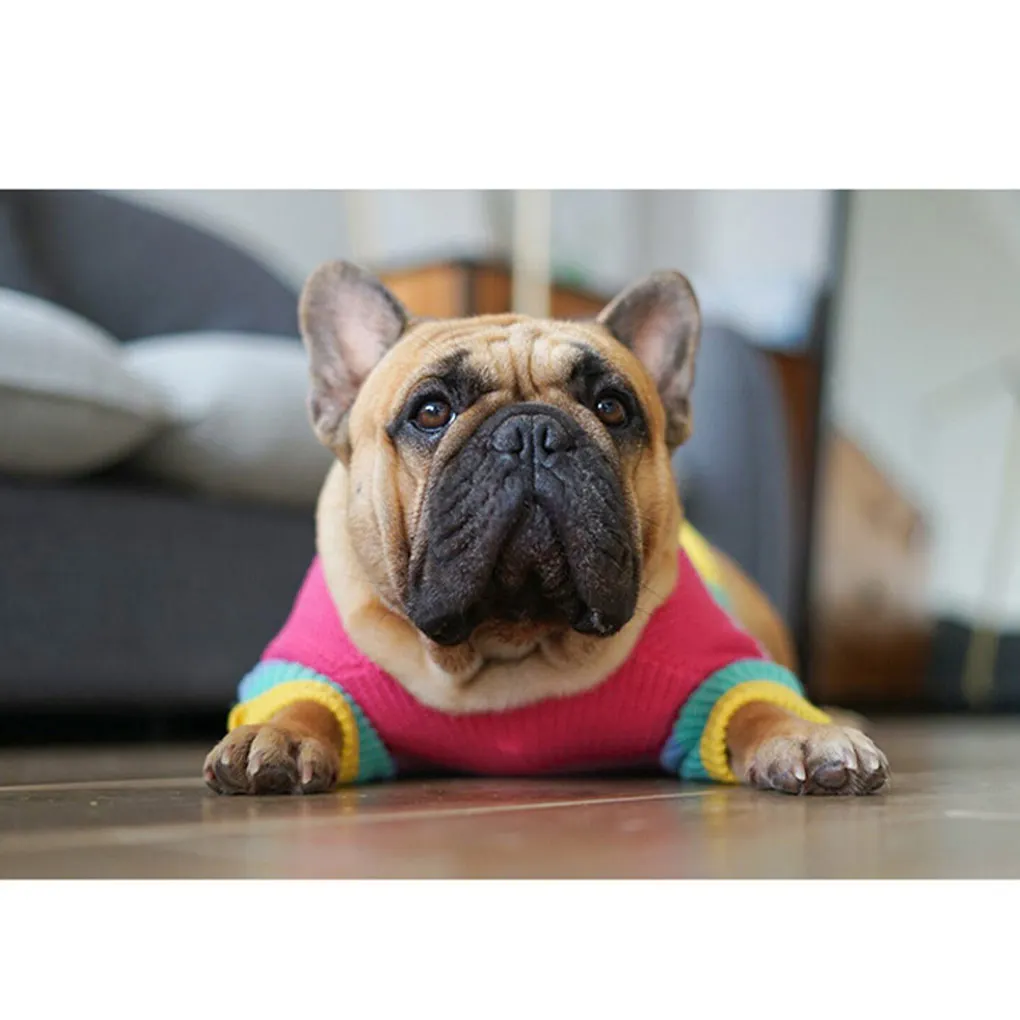 

Polyester Pet Winter Sweater Reusable Washable Colorful Replacement Coat