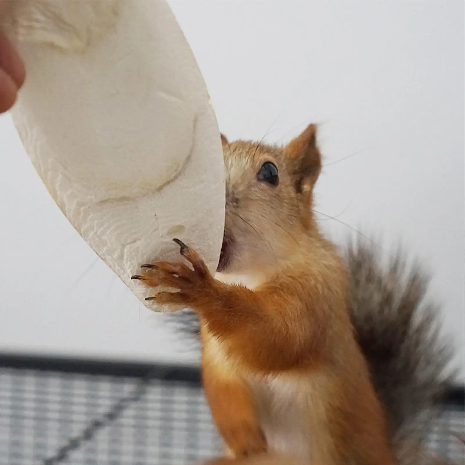 Искусственная косточка Для морской рыбы искусственная еда разборная поглощает