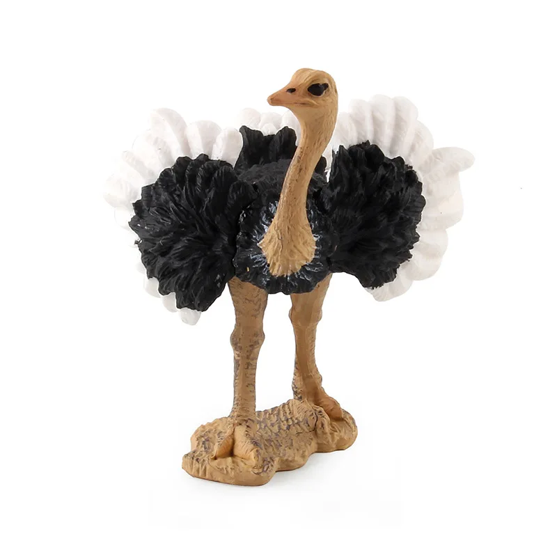 

Children's Science and Education Cognitive Bird Model Simulation African Ostrich Solid Bird Farm Static Decoration Kawaii Toys