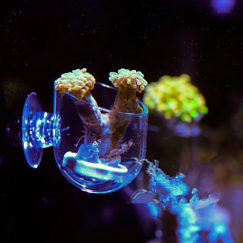 

Aquarium decoration fish tank Mini Crystal Glass Pot Polka Water potted planting cylinder cup aquarium accessories