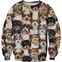 new funny dog sweatshirt you will have a bunch of biewer terriers 3d printed sweatshirts men for women pullovers unisex tops