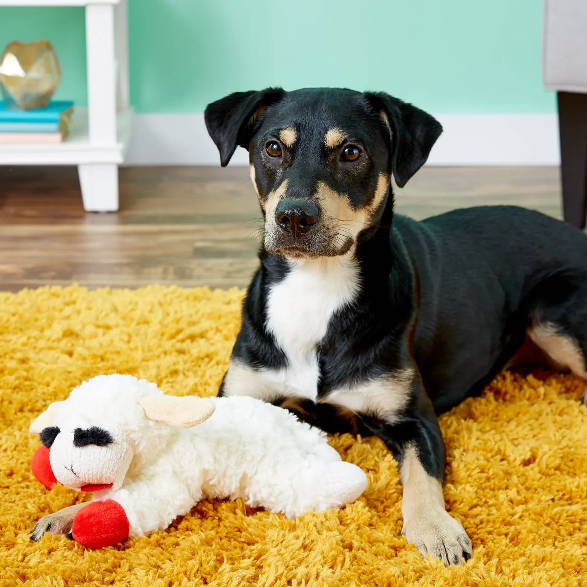 

Plush Dog Toys Lamp Chop for Small Medium Dogs Animal Dog Squeaky Toy Bite Resistant Chew Toy Molar Teeth Cleaning Puppy Toys