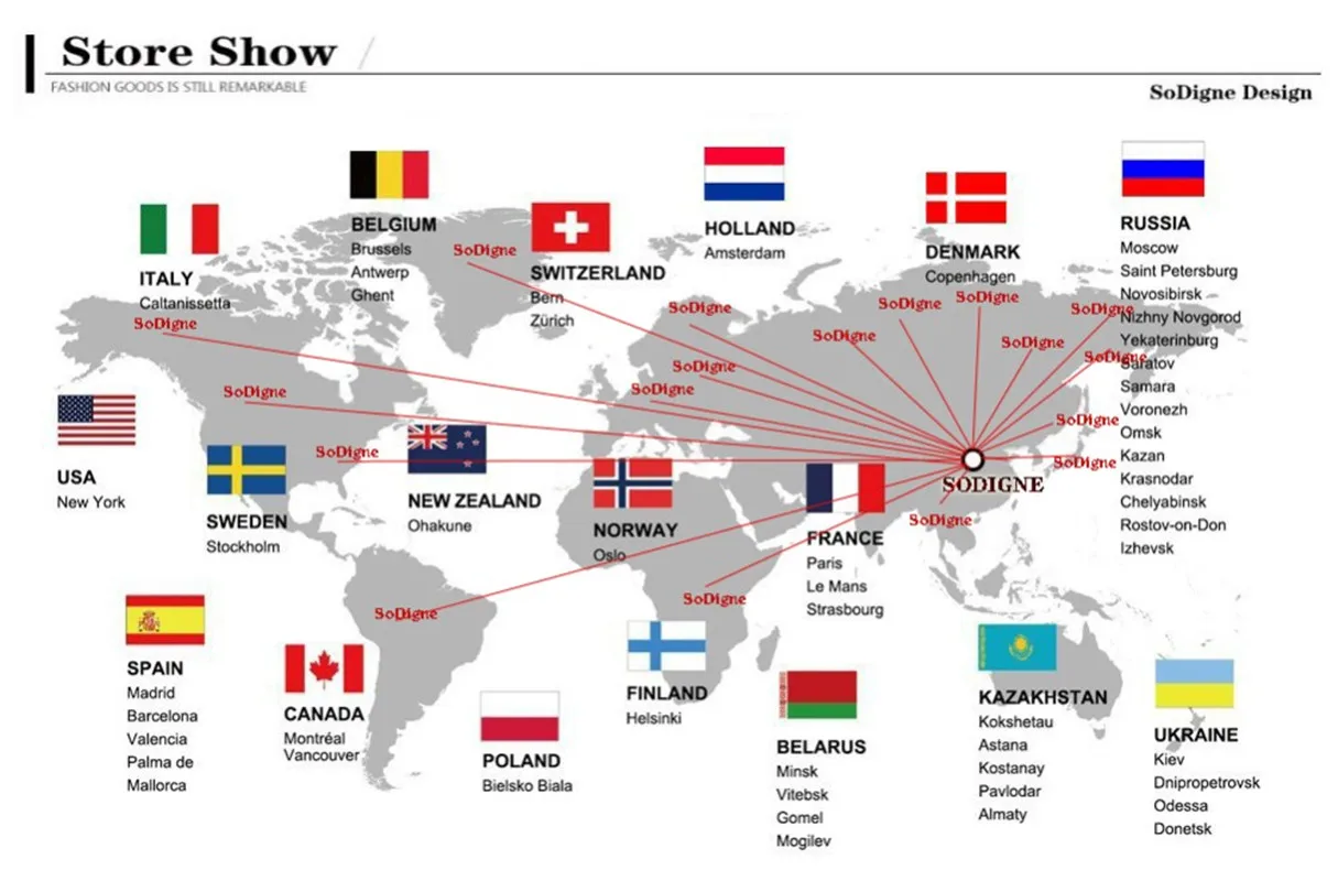 Chic and Elegant Woman Set for Women Pants and Blouse Women's Suit 2-piece Slim Fit Peaked Lapel Luxury Dress Custom Suit Pieces