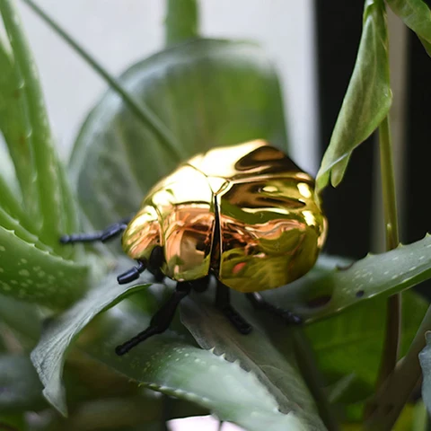 Заводной жук ZTOYL