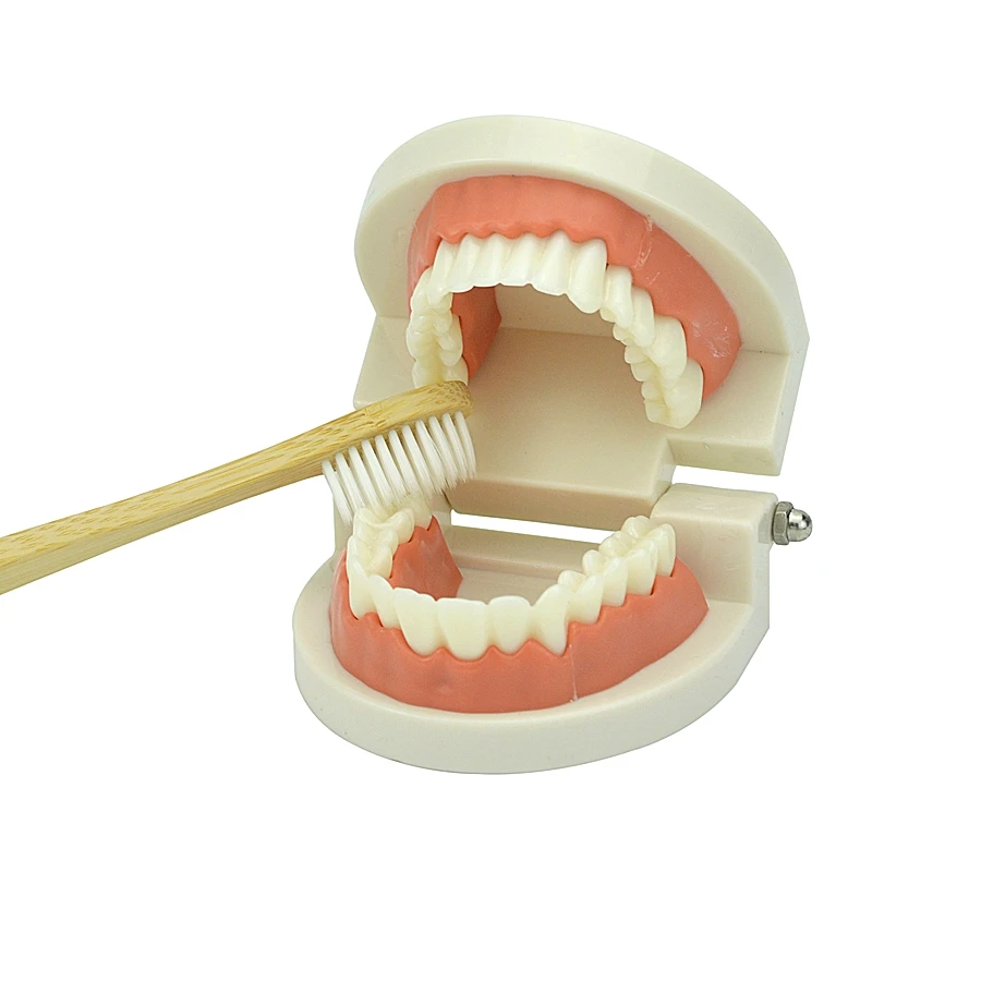 Обучающие игрушки Монтессори для детей Раннее Обучение Дети интеллект чистка