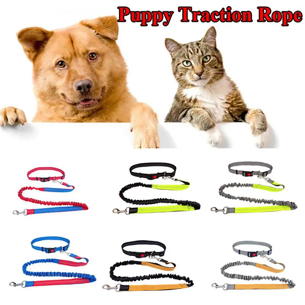 

Pet Dog Leash Outdoor Travel Elastic Adjustable Pet Safety Traction Rope For Walking Running Jogging
