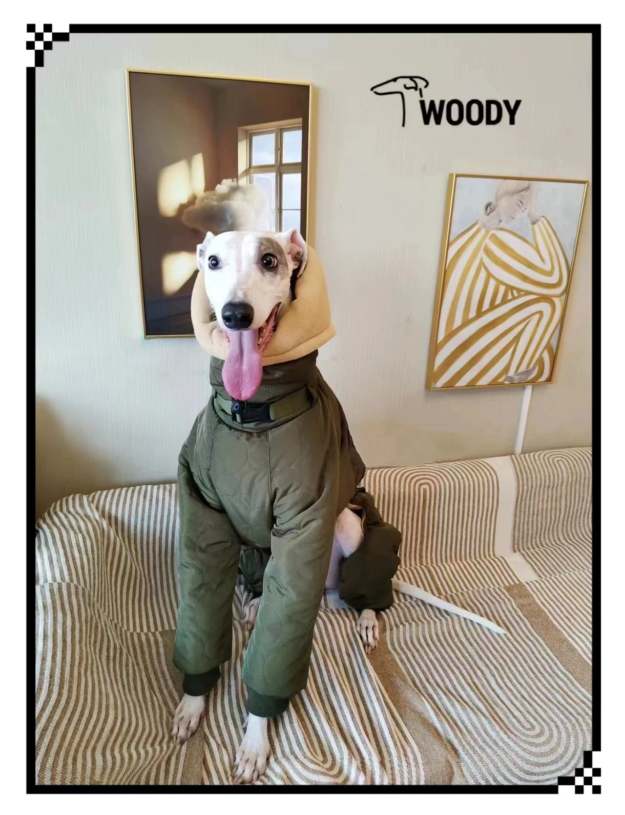 Фото Spuer-thick  Soft Winter Dog Clothes Greyhound Costumes Dog Warm Apparel Whippet Coat Italian Greyhound Jacket №3
