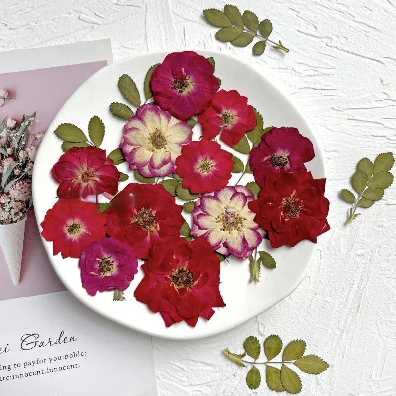 24 шт./пакет рельефная комбинированная Цветочная рамка в виде Розы