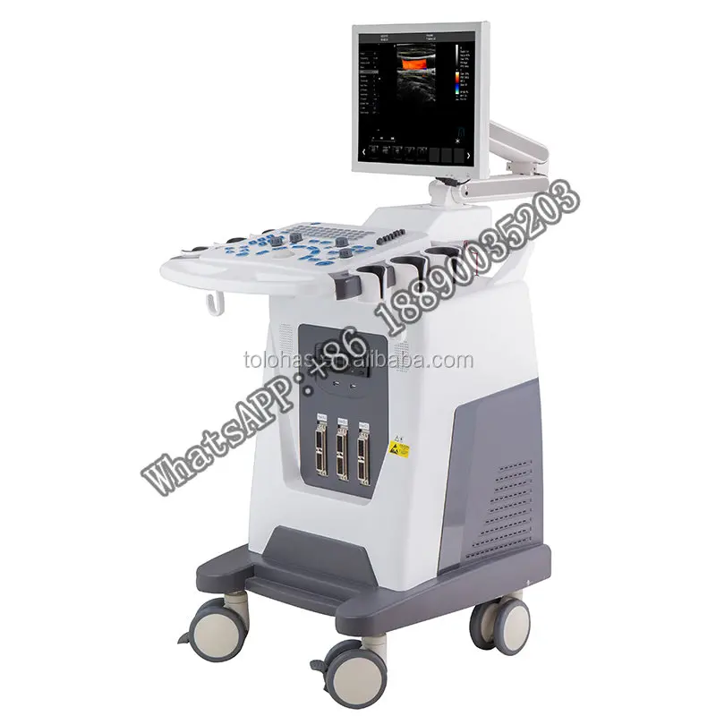 

LHAF3 Cheap Trolley Color Doppler Ultrasound Machine /Echo /Ultrasonography