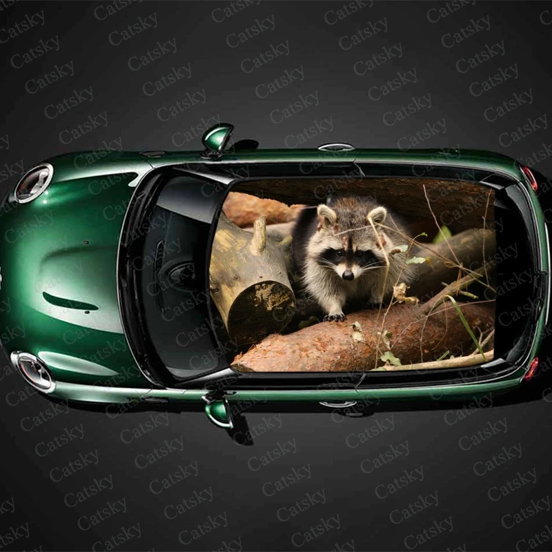 

Наклейки на крышу автомобиля, sunroof