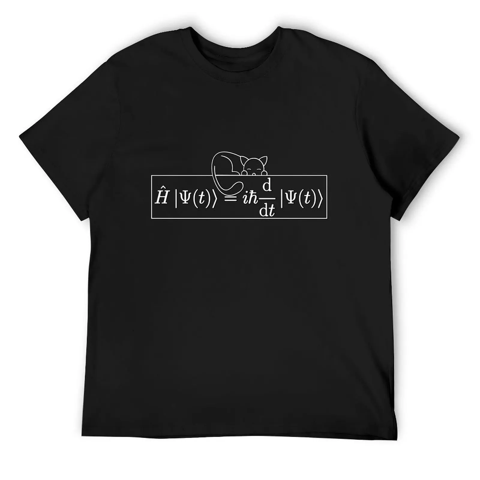 Футболка Schr?dinger Equation и Cat негабаритная мужская футболка с короткими рукавами