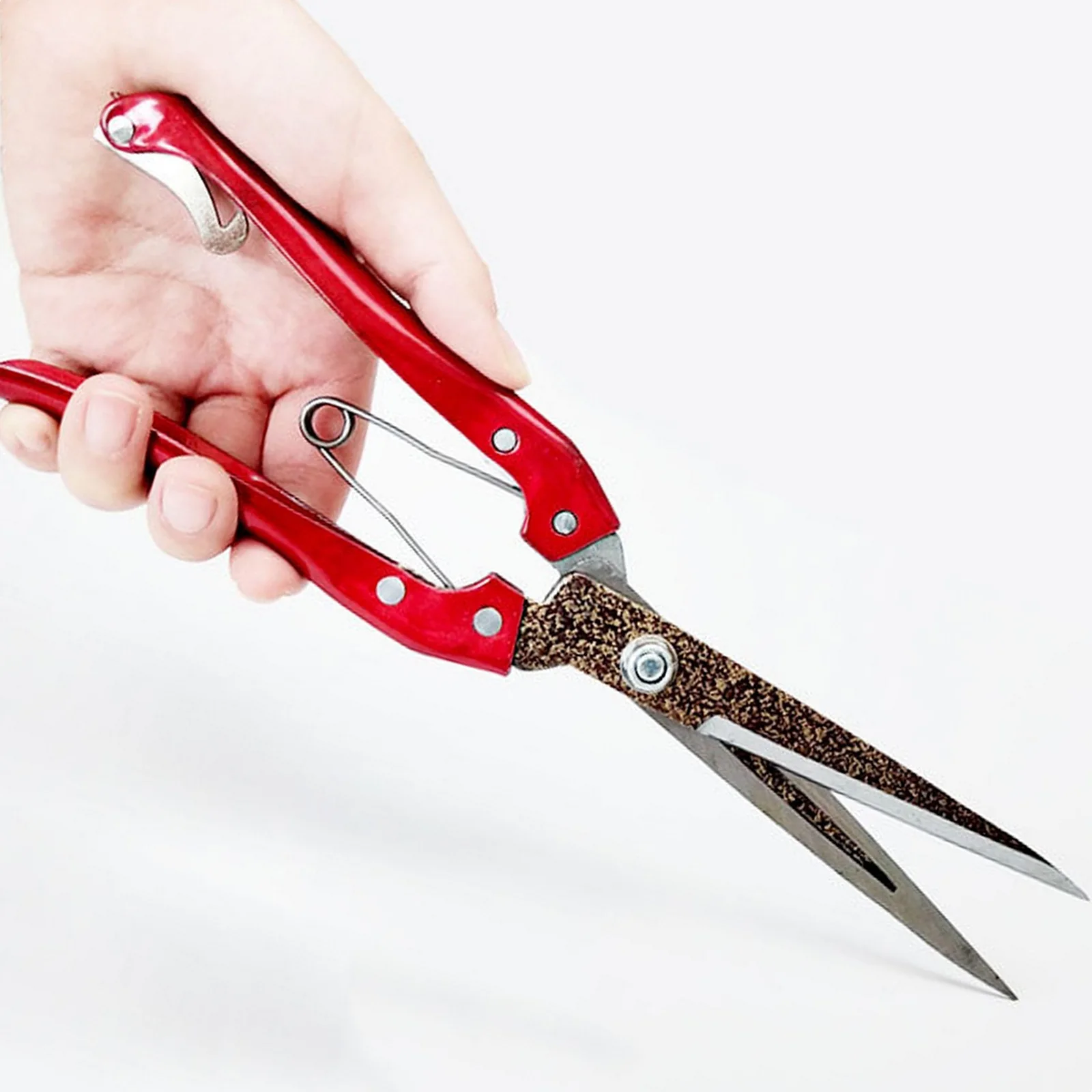 Π‘ΡΡΠΈΠΆΠΊΠ° Π²ΠΎΠ»ΠΎΡ Π΄Π»Ρ Π΄ΠΎΠΌΠ°ΡΠ½ΠΈΡ
ΠΆΠΈΠ²ΠΎΡΠ½ΡΡ
, Π½ΠΎΠΆΠ½ΠΈΡΡ Π΄Π»Ρ ΡΠ΅ΡΡΡΠΈ, Π½ΠΎΠΆΠ½ΠΈΡΡ Π΄Π»Ρ ΡΡΡΠΈΠΆΠΊΠΈ Π²ΠΎΠ»ΠΎΡ ΠΈΠ· ΠΊΠΎΠ½ΡΠΊΠΎΠ³ΠΎ Π²ΠΎΠ»ΠΎΡΠ°, ΡΠ°Π΄ΠΎΠ²ΡΠ΅ Π½ΠΎΠΆΠ½ΠΈΡΡ Π΄Π»Ρ ΡΠ΅ΡΠΌΡ, ΠΈΠ½ΡΡΡΡΠΌΠ΅Π½ΡΡ Π΄Π»Ρ ΠΎΠ²Π΅Ρ, ΠΊΡΠΎΠ»ΠΈΠΊΠΎΠ², Π»ΠΎΡΠ°Π΄Π΅ΠΉ Π‘ΡΡΠΈΠΆΠΊΠ° Π²ΠΎΠ»ΠΎΡ Π΄Π»Ρ Π΄ΠΎΠΌΠ°ΡΠ½ΠΈΡ
ΠΆΠΈΠ²ΠΎΡΠ½ΡΡ
, Π½ΠΎΠΆΠ½ΠΈΡΡ Π΄Π»Ρ ΡΠ΅ΡΡΡΠΈ, Π½ΠΎΠΆΠ½ΠΈΡΡ Π΄Π»Ρ ΡΡΡΠΈΠΆΠΊΠΈ Π²ΠΎΠ»ΠΎΡ ΠΈΠ· ΠΊΠΎΠ½ΡΠΊΠΎΠ³ΠΎ Π²ΠΎΠ»ΠΎΡΠ°, ΡΠ°Π΄ΠΎΠ²ΡΠ΅ Π½ΠΎΠΆΠ½ΠΈΡΡ Π΄Π»Ρ ΡΠ΅ΡΠΌΡ, ΠΈΠ½ΡΡΡΡΠΌΠ΅Π½ΡΡ Π΄Π»Ρ ΠΎΠ²Π΅Ρ, ΠΊΡΠΎΠ»ΠΈΠΊΠΎΠ², Π»ΠΎΡΠ°Π΄Π΅ΠΉ