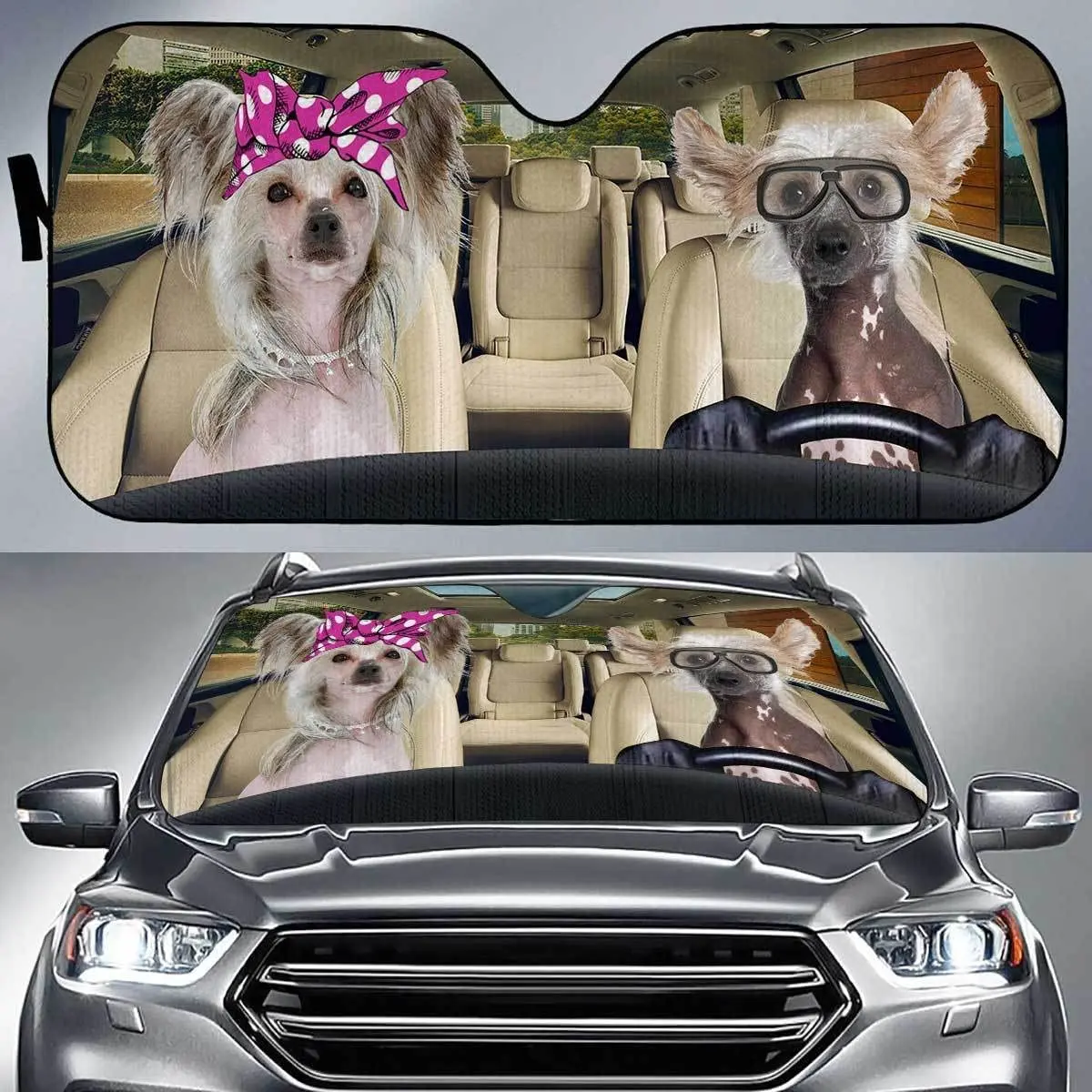 

Забавные китайские хохлатые собаки, двойные рандомные солнцезащитные очки для автомобиля, китайские хохлатые собаки в розовой повязке на голову и очки Auto Su