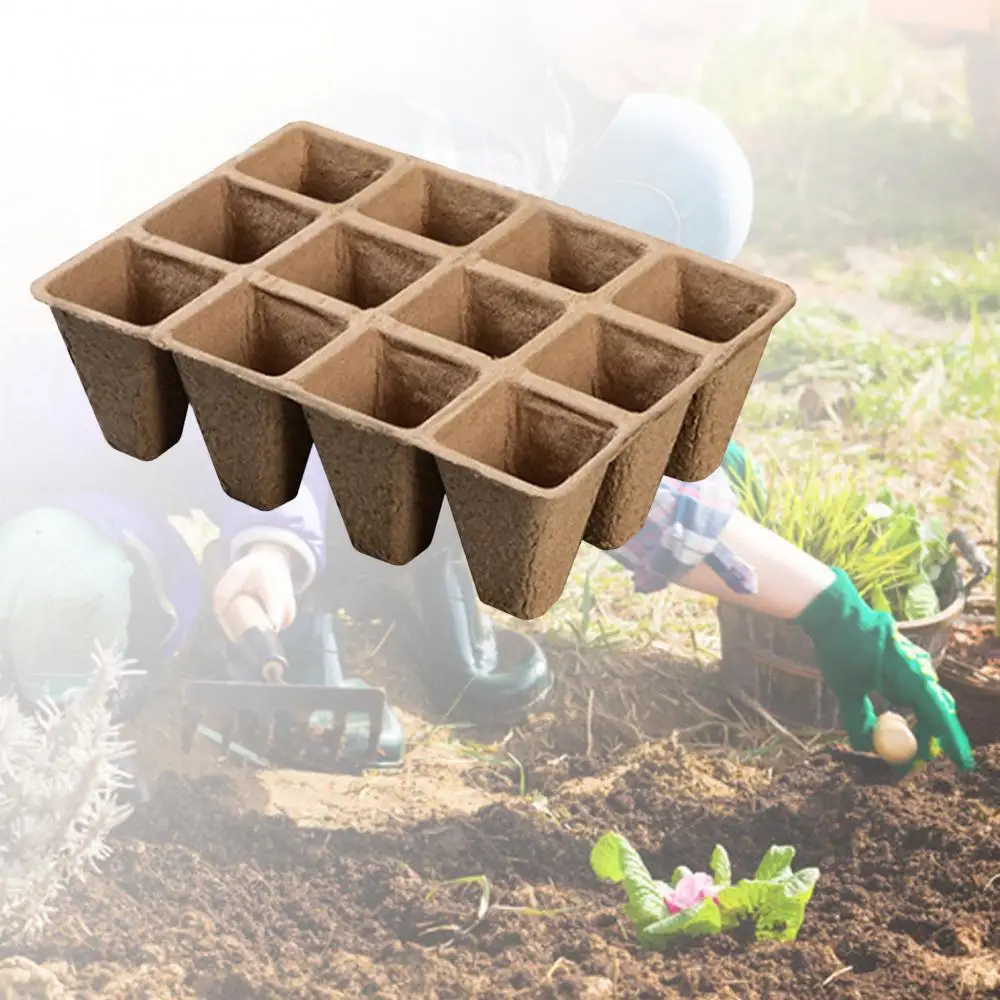 

Контейнер 5 шт./10 шт., 12 ячеек