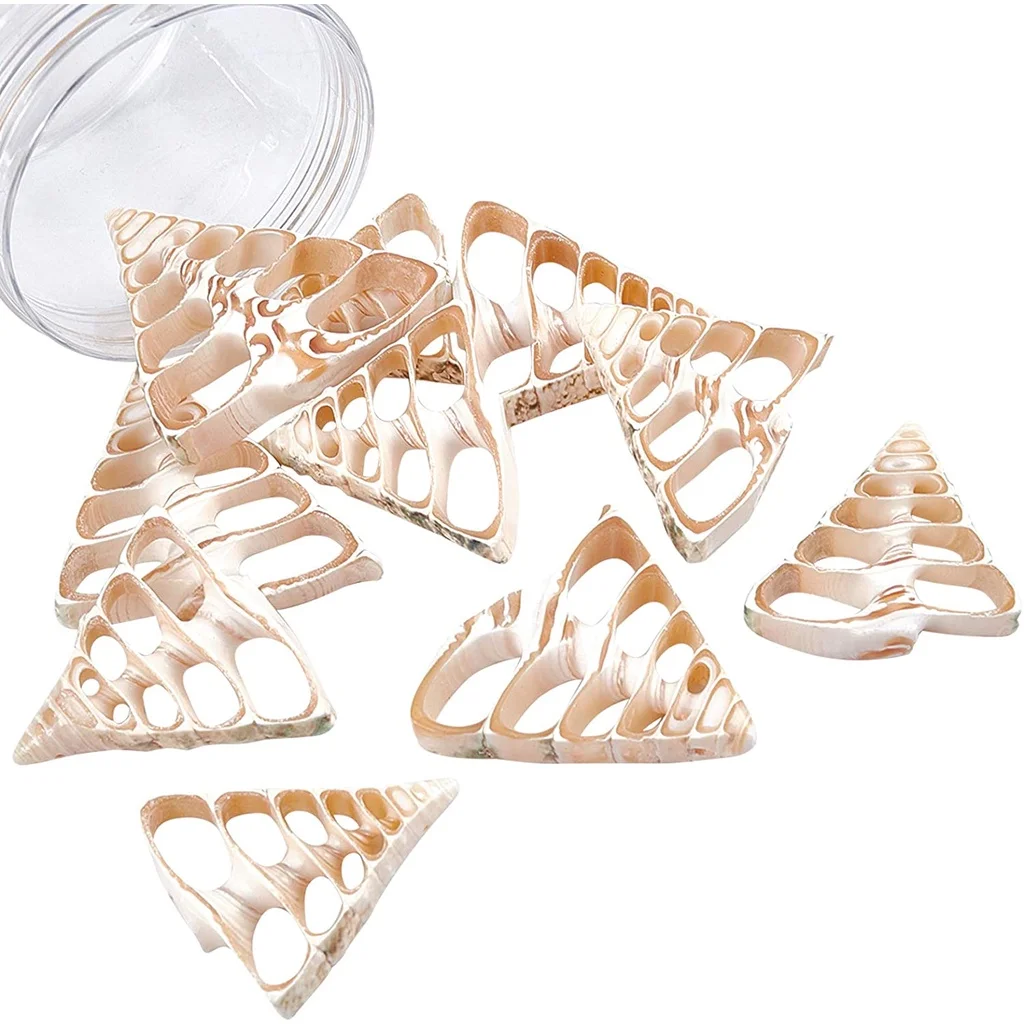 

10 Pcs Natural Shell BeadsShell Drilled Beads Seashell Charms for DIY Necklace Bracelet Earring Making