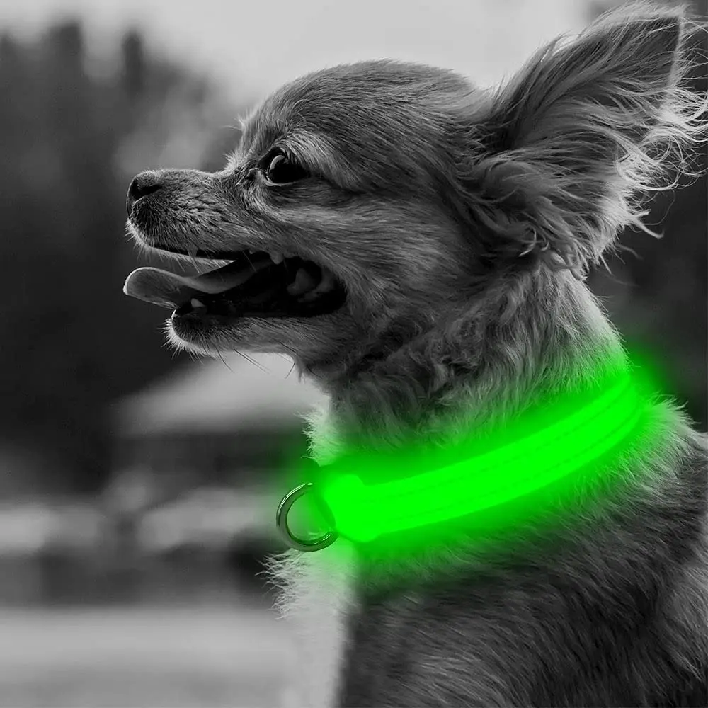 

LED Luminous Dog Charging Collar Adjustable Flashing Rechargea Luminous Collar Night Anti-Lost Dog Accessories for Pet Cat Dogs