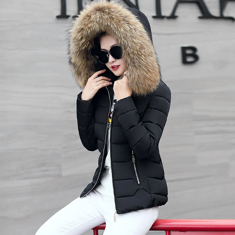 Autumn  winter 2022 Women's cotton coat Short coat Large fur collar  skinny lady Women's parkas cotton coat Women's cotton coat
