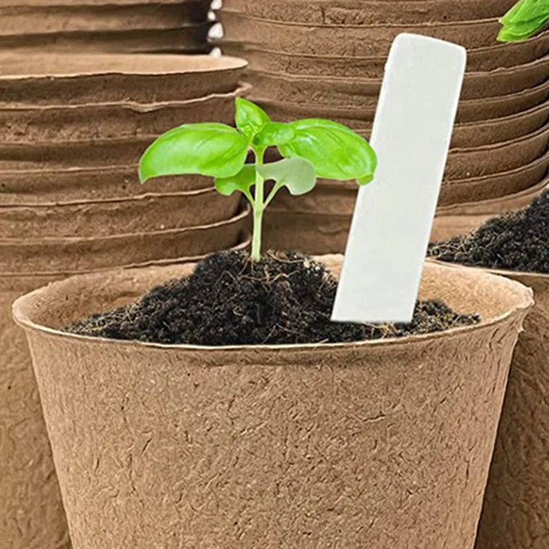 50 штук 8-сантиметровых персиковых горшков для развития семян биоразлагаемых и