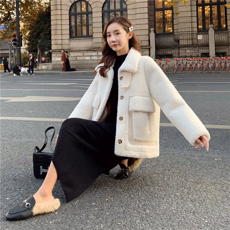 Korean Fashion Thick Wool Cashmere Coat Wool Fur Coat Stand-Up Collar Mori Female Lamb Wool Coat Female Winter College Style