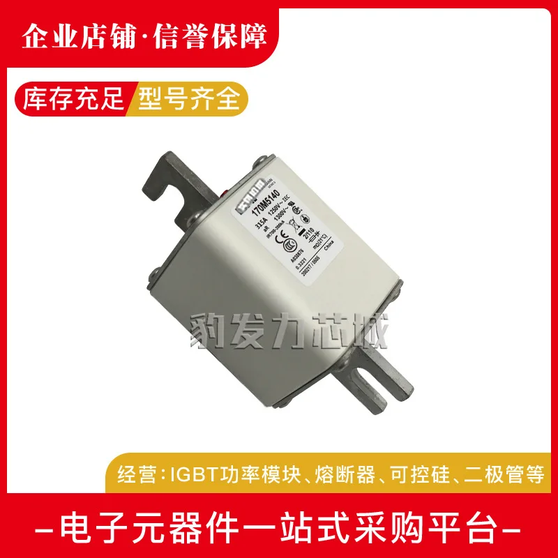 170M5008/5009/5010/5011/5012/5013/5014/015/016/017/018 предохранитель