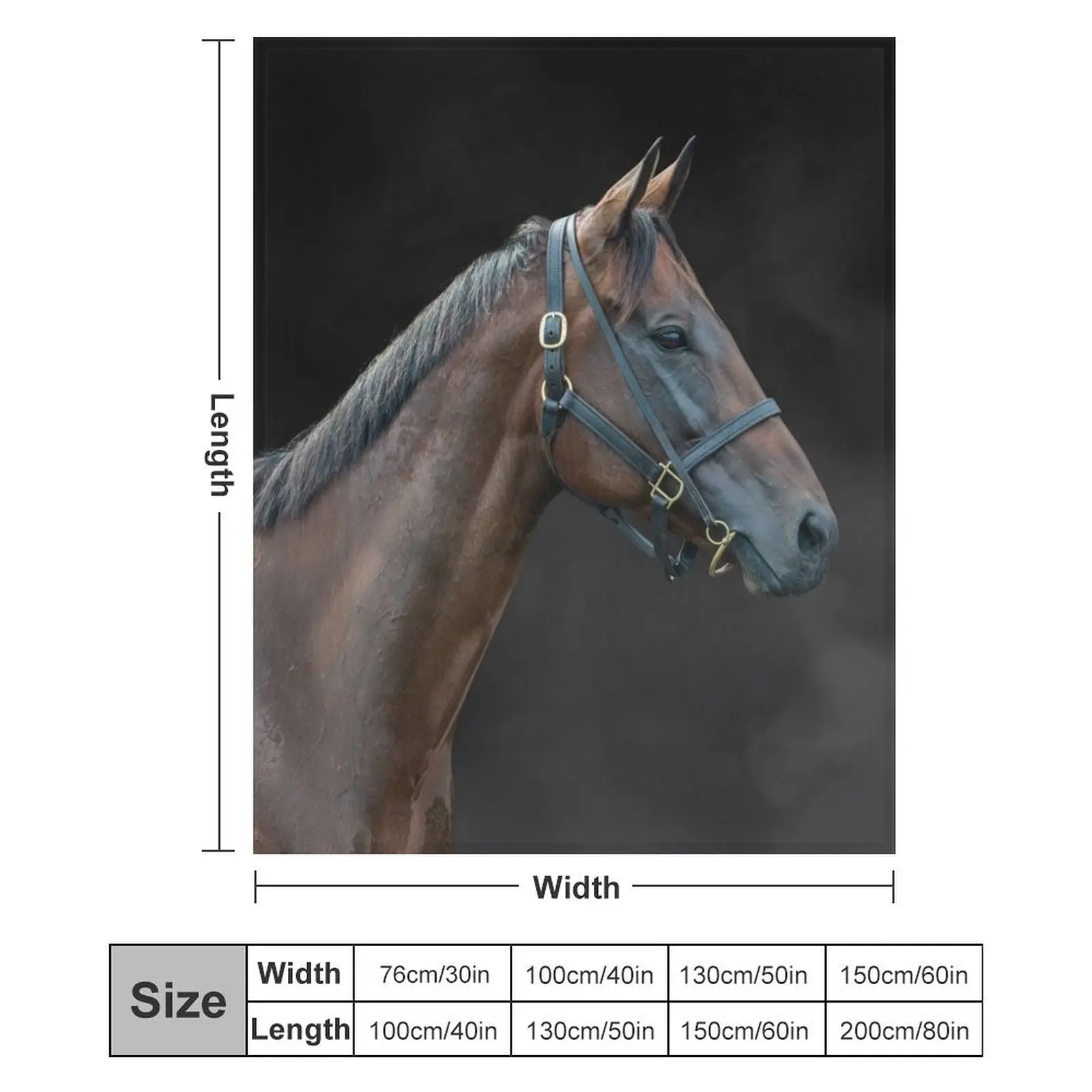 Winx - цвет пледы Rosehill Farewell модные диваны для декоративного дивана красивые одеяла