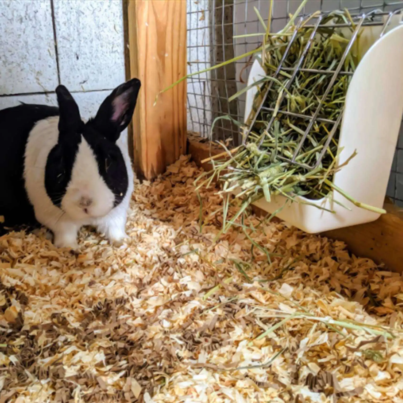 Рама для травы кормушка сена стойка яслей морской свинки фиксированный откидной