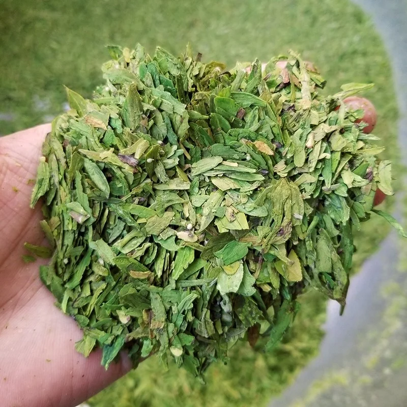 

2022 Mingqian Longjing New Tea Slices Green Tea Bag Bulk Tea Bag 500G